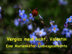 Vergiss-mein-nicht-Valentin-Präsentation.pdf